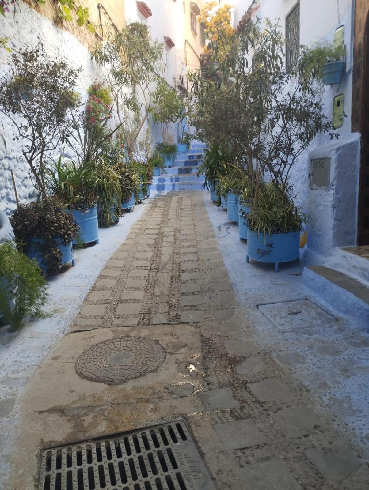 Dar Al Mansoura Riad Chefchaouen Room photo